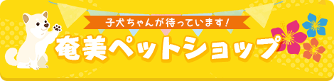 ybgVbv