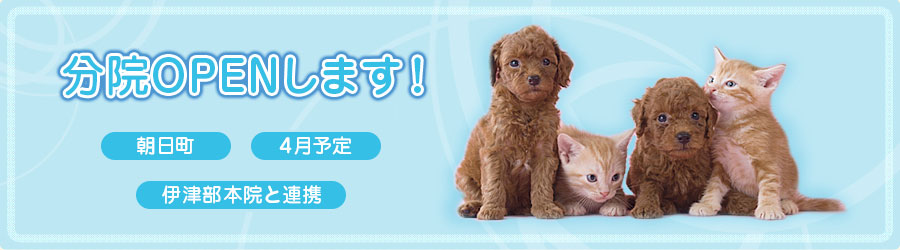 ���@�́A�����⎔����̃X�g���X�̌y���ɍő���z�������b���Â�ڎw���܂��B