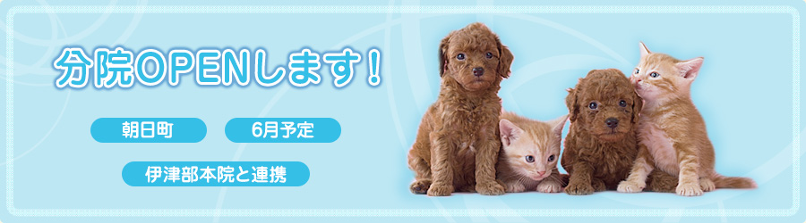 分院OPENします!