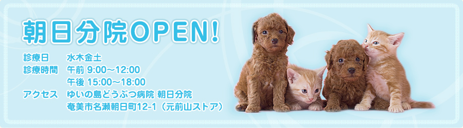 分院OPENします!