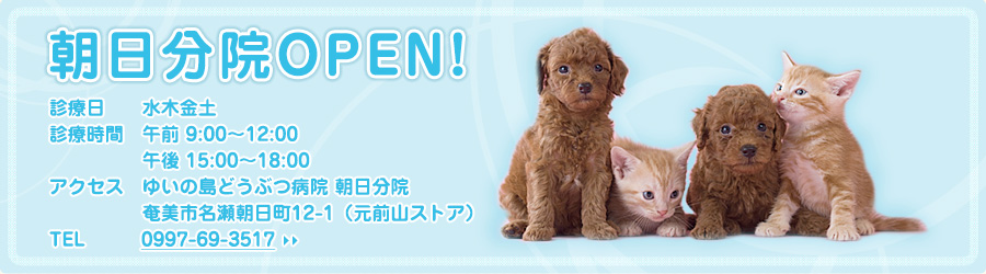 �������@OPEN